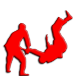 Самбо и дзюдо